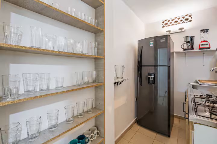 Elemental House (30)