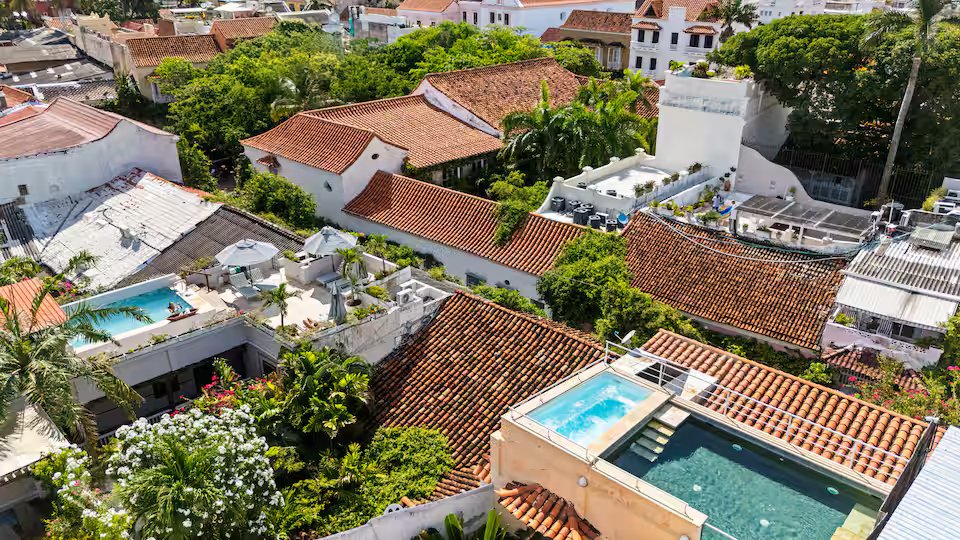 Tropical Full House (32)