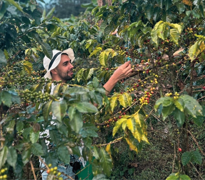 coffee plantation in medellin colombia